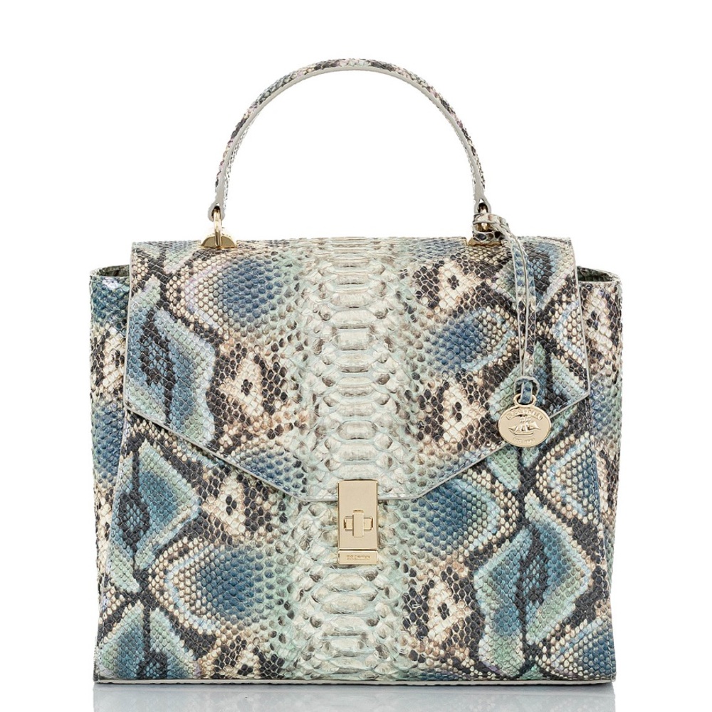💼New! Brahmin Ingrid Haven Roxanne Satchel NWT 💙